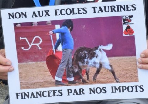 ROSY GONZALEZ tweet media