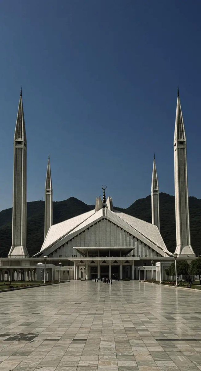  فالكون tweet media