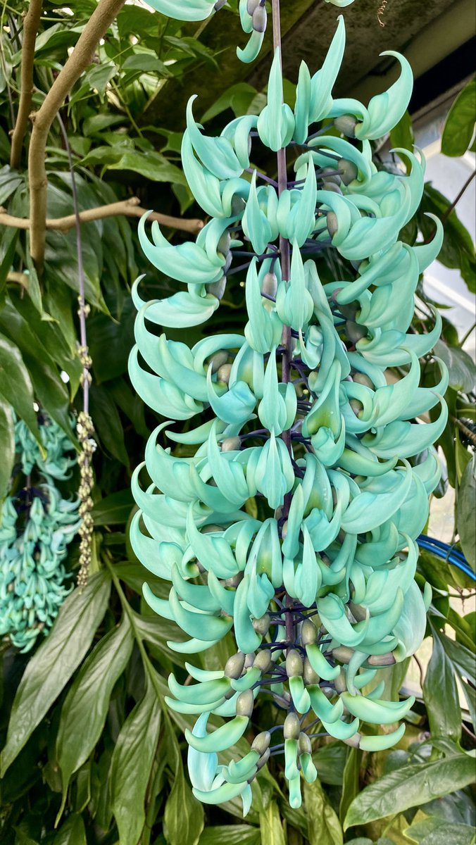 The Game’s Gone tweet media