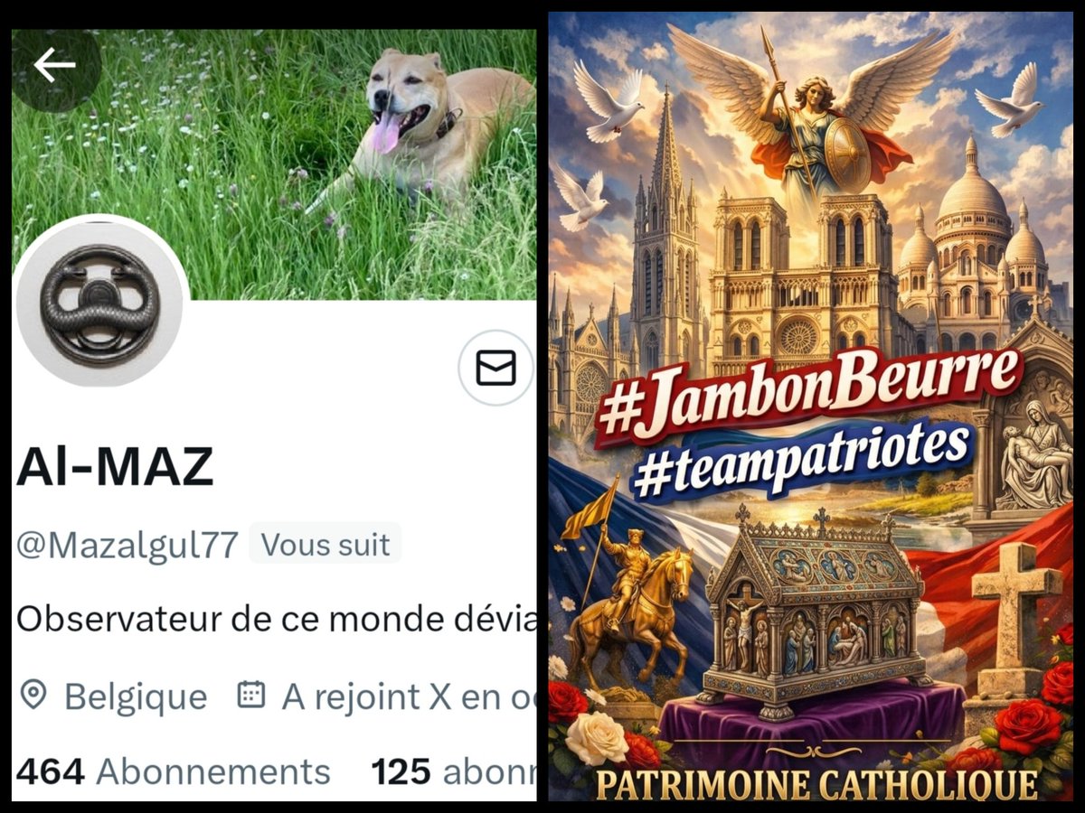 🇨🇵 Dédé 🇫🇷♿ tweet media