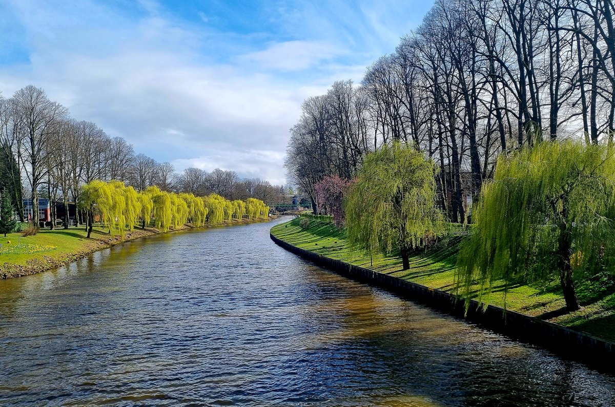 Roger Wellens tweet media