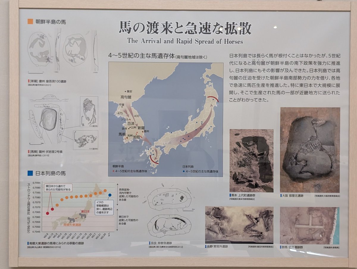 扶余と飛鳥 tweet media