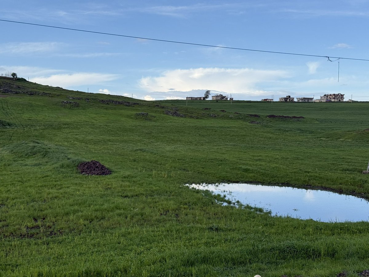 Bander 🇸🇦 tweet media