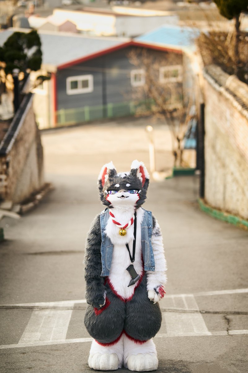 치비 / Chibi ≽^•⩊•^≼ tweet media