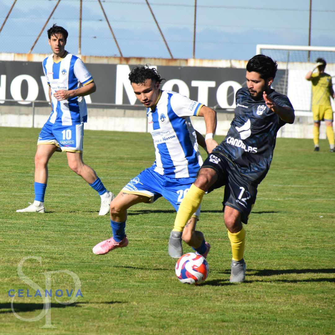 SportingCelanova tweet media