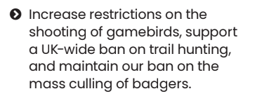 GarethEnticott's tweet photo. Here's what the political parties in the @SeneddWales elections are saying about bovine tuberculosis and badgers:

@WelshLabour : no explicit mention of TB, but a commitment to 'maintaining a ban on the mass culling of badgers' https://t.co/EtNSgNRENU
