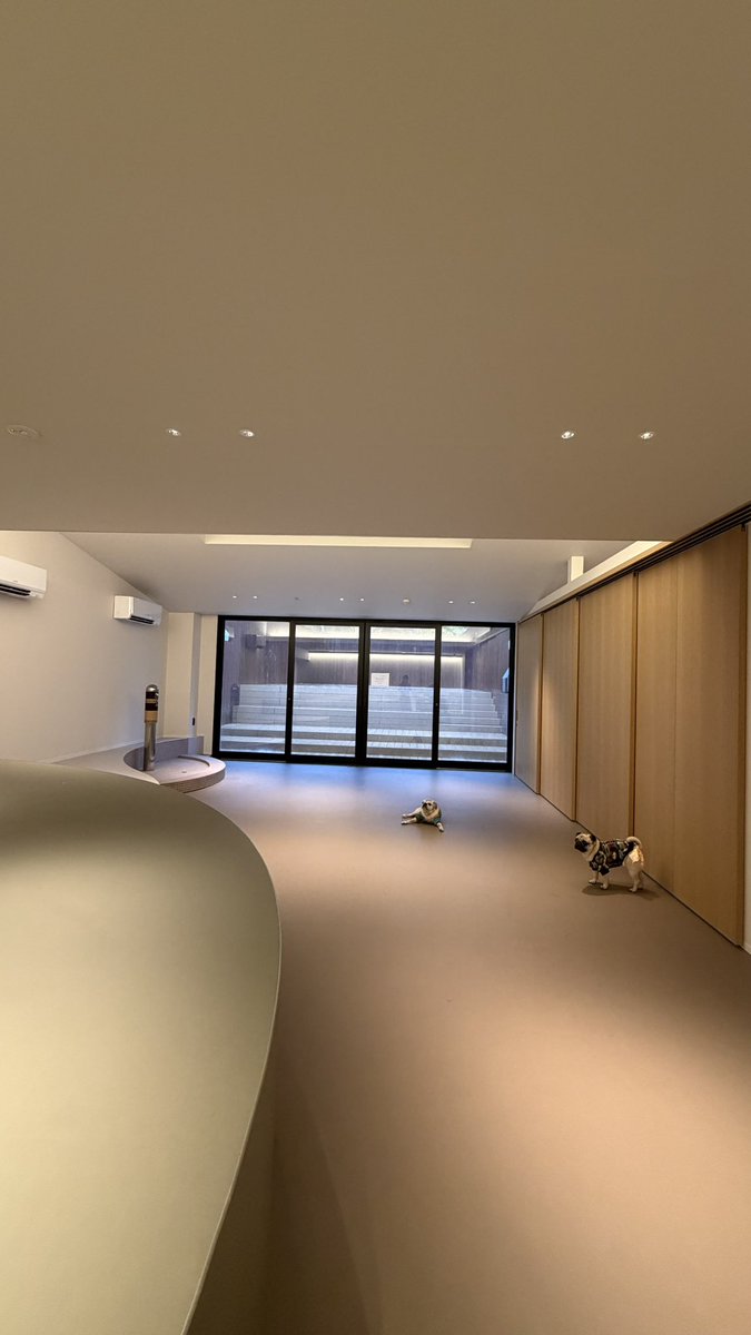 松嶋初音😇xǝunsʇɐɥ tweet media