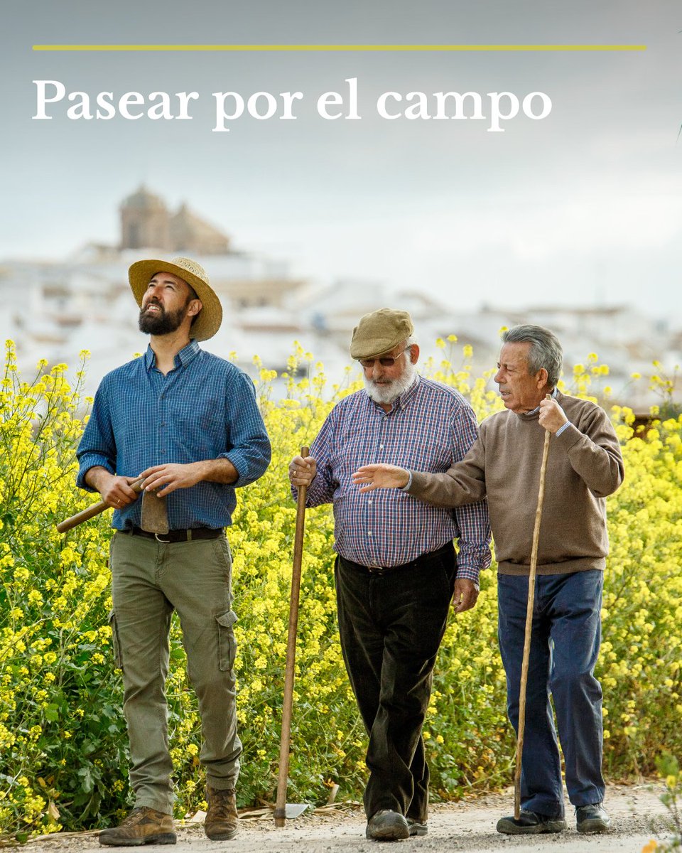 Grupo Dcoop tweet media