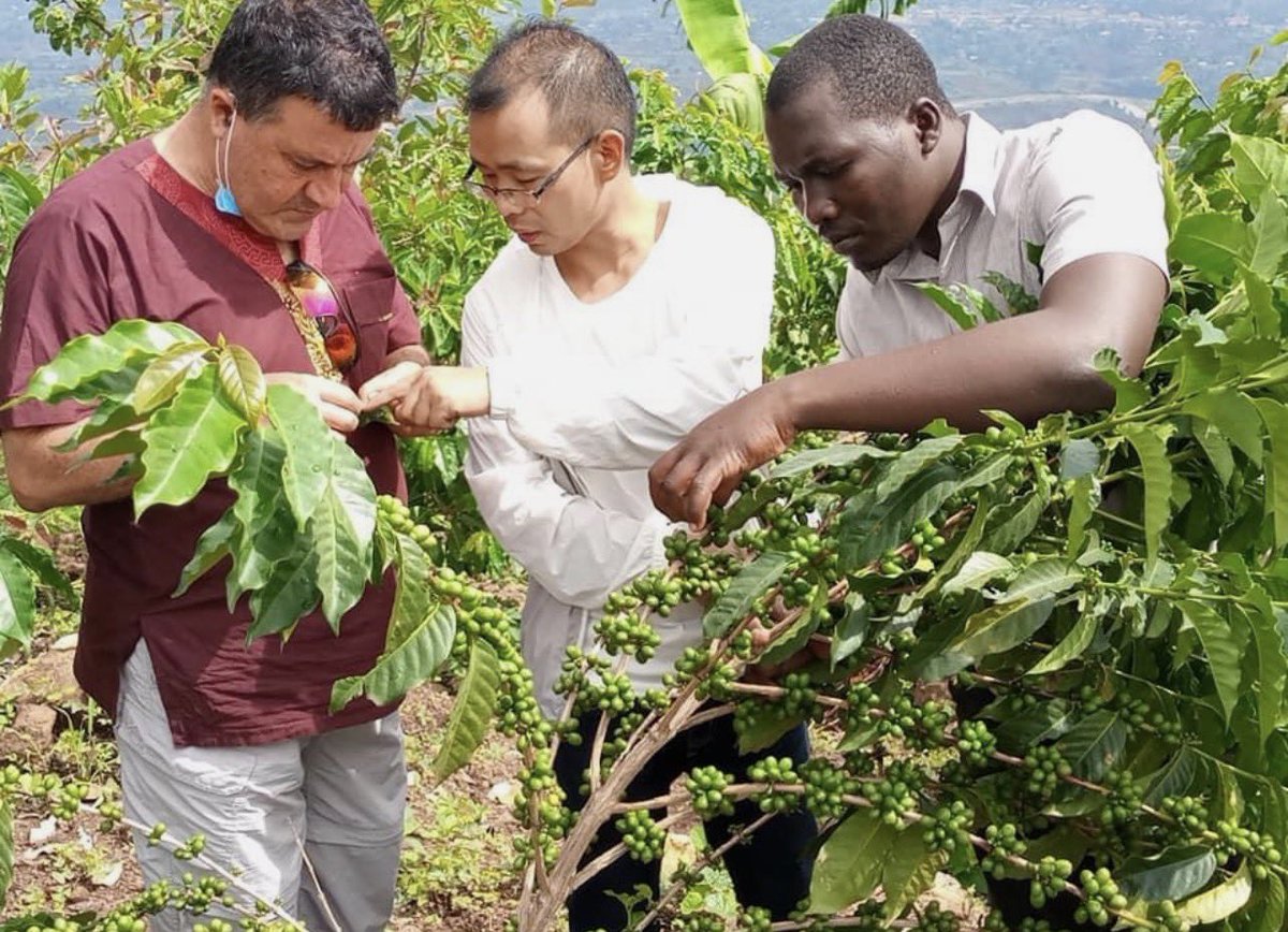 Gerald Katabazi. tweet media