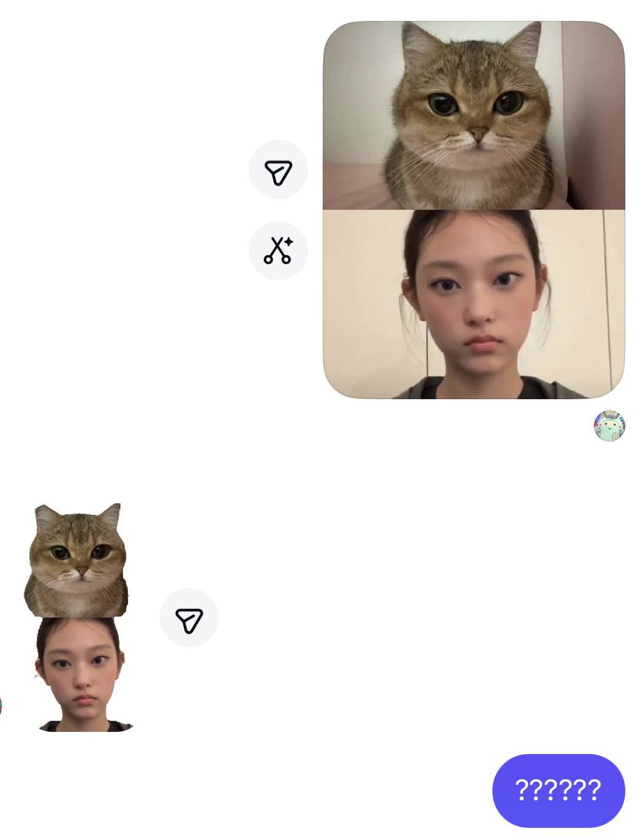 Bunnymate tweet media