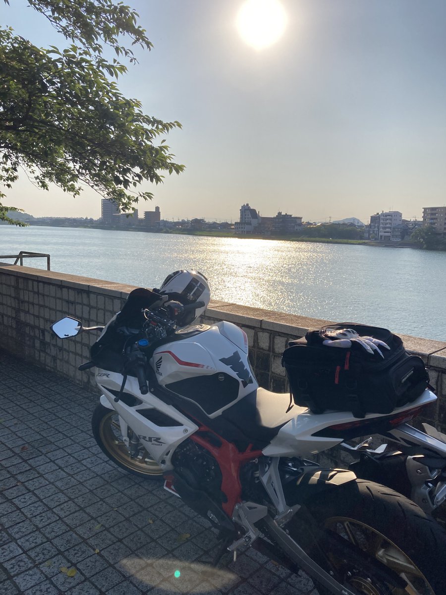 風見れご tweet media