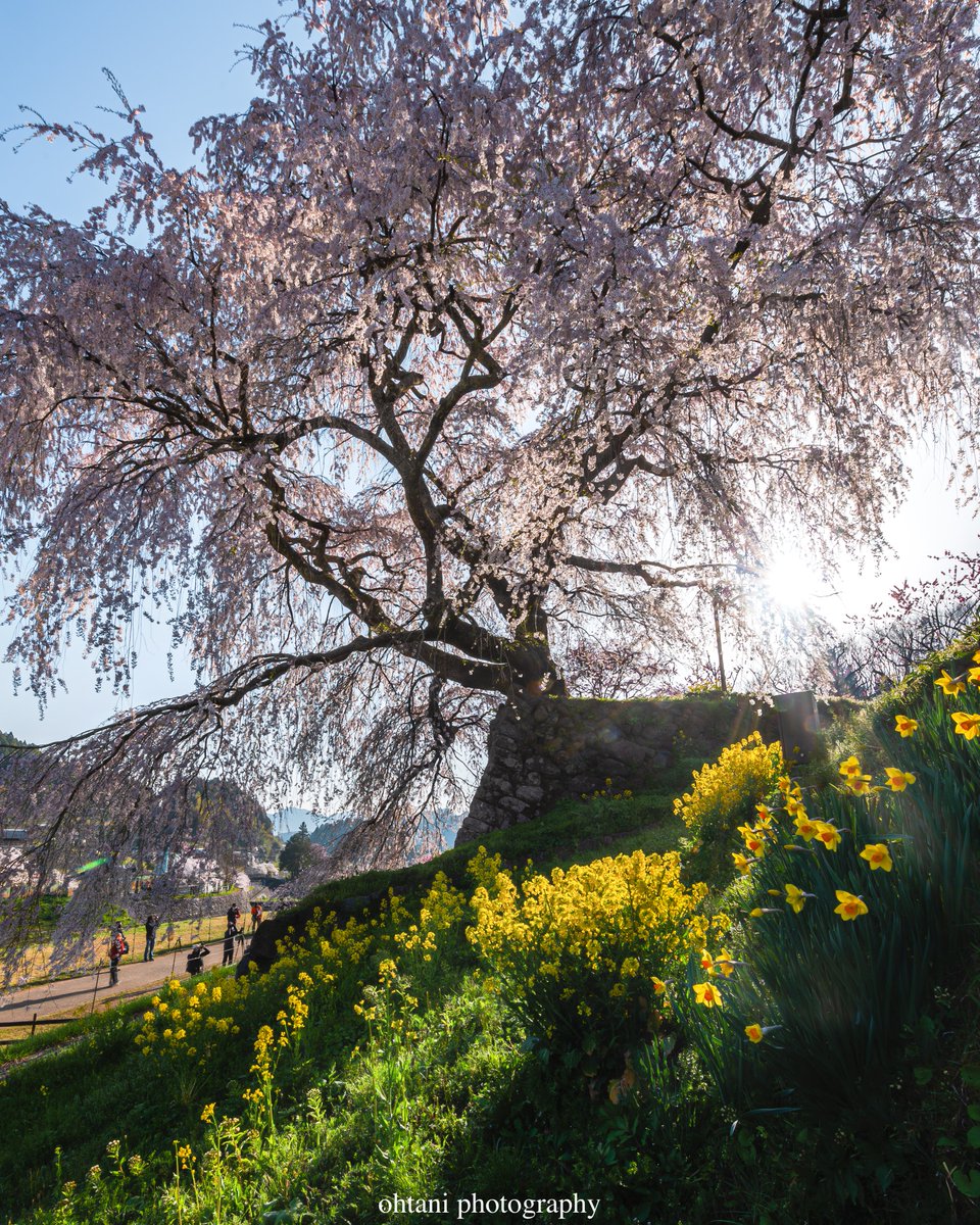 おおたに。┃日本の歴史を彩る風景写真 tweet media