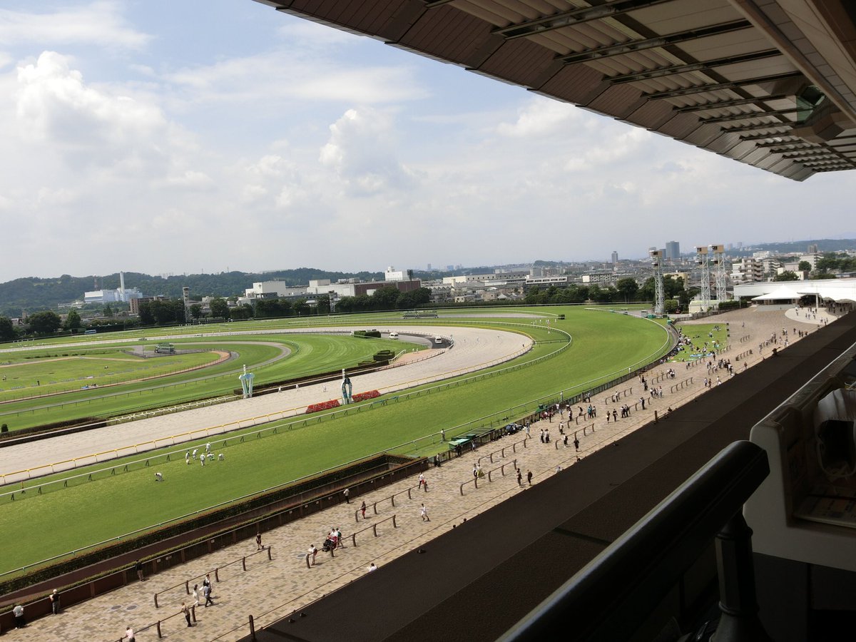 たいらんと tweet media