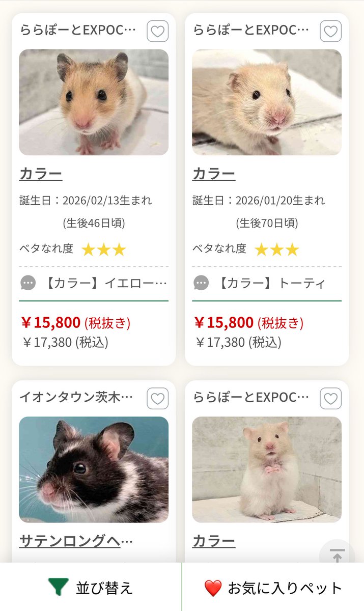 とがち tweet media