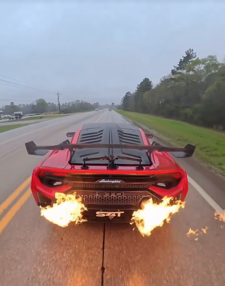 Beast of the Jungle...!💯🔥💰👌🦁👑 tweet media