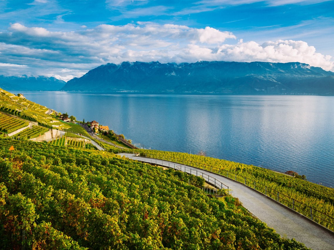 Université de Lausanne tweet media
