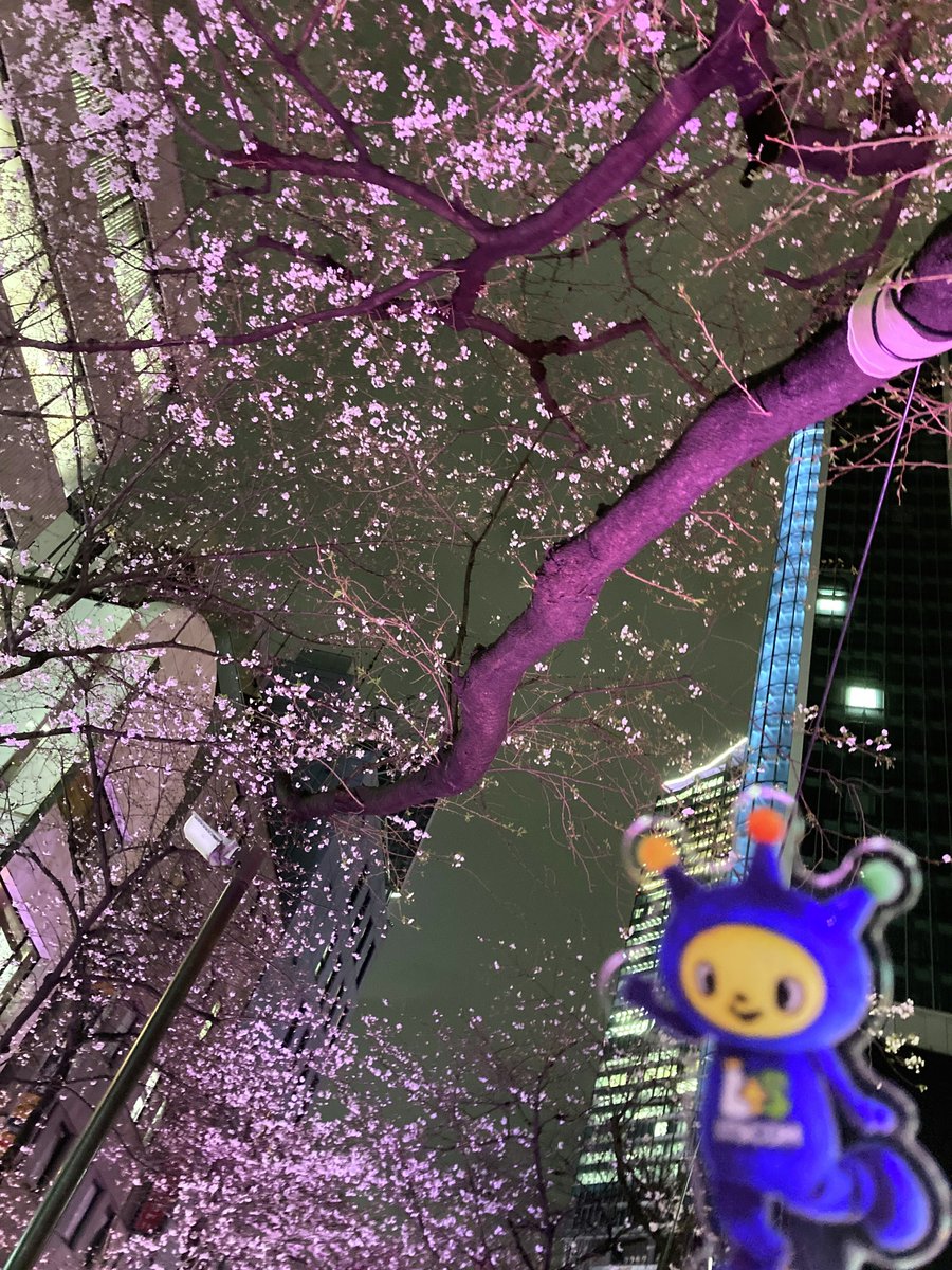 【公式】イッツコム tweet media