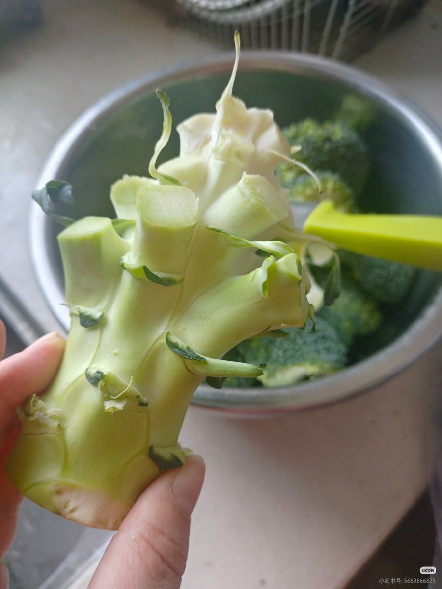 荔枝Q甜(互fo) tweet media