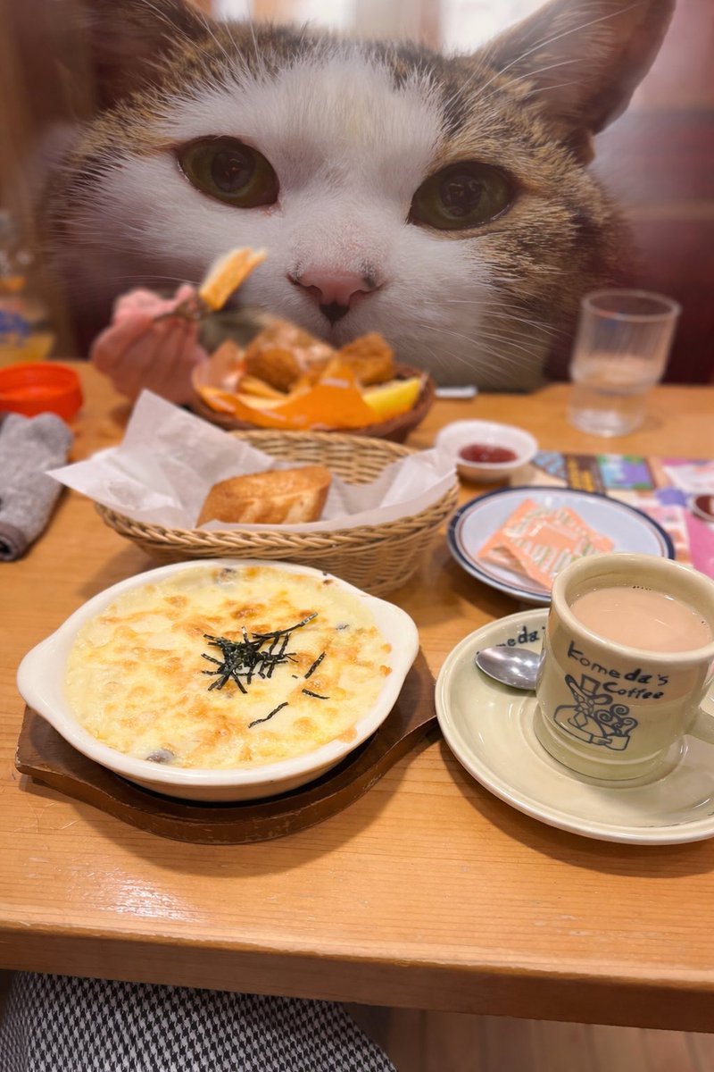 あころ🍓🐱🐹🐾from:rocca tweet media