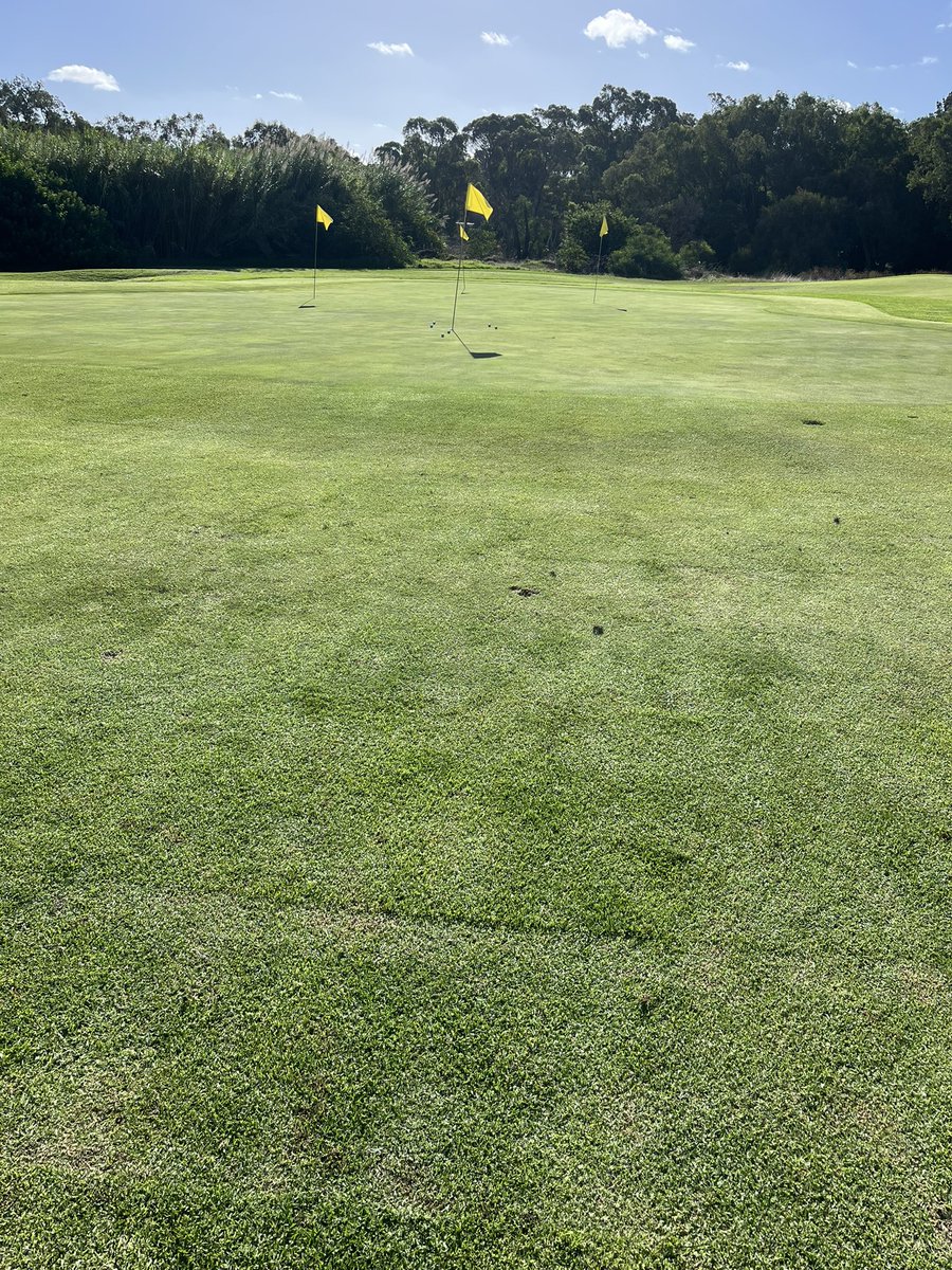 daniel fox tweet media