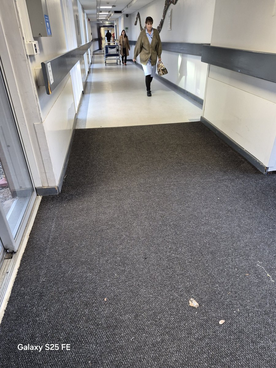 🎗 MOGGY 🎗 tweet media