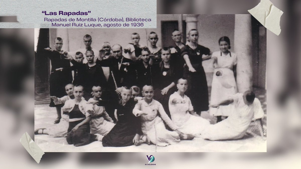 IN-VIOLENSHE tweet media