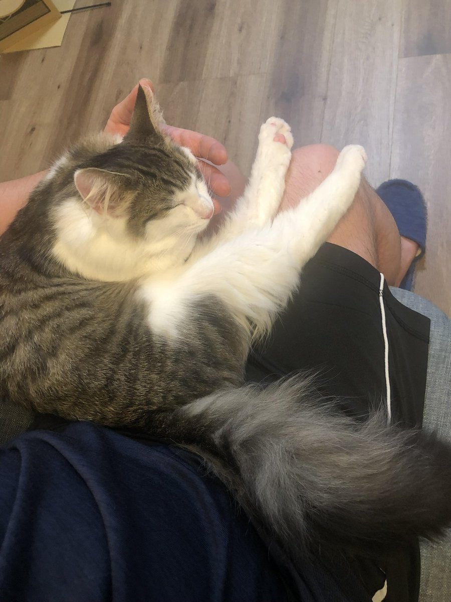 全角さん tweet media