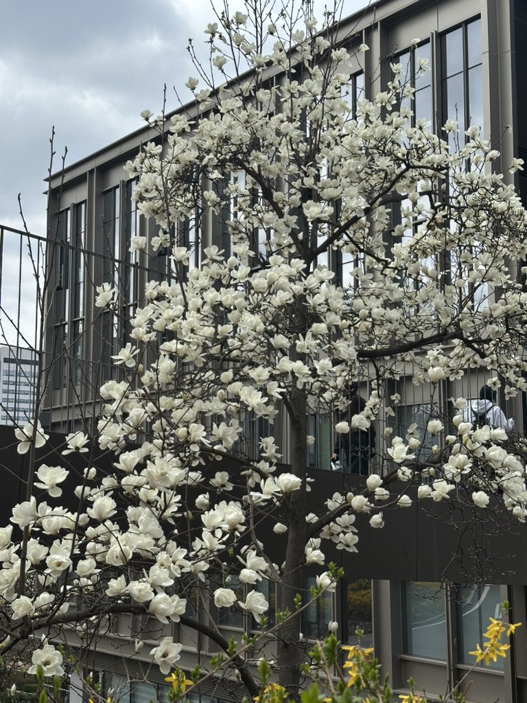 ㅇ ㅗ ㅍ tweet media