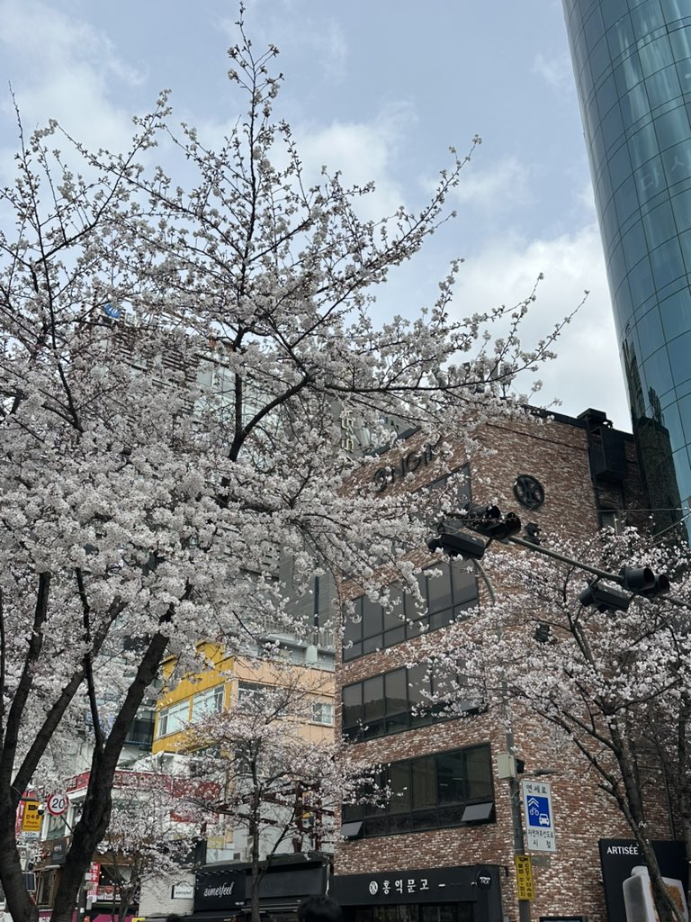 ㅇ ㅗ ㅍ tweet media