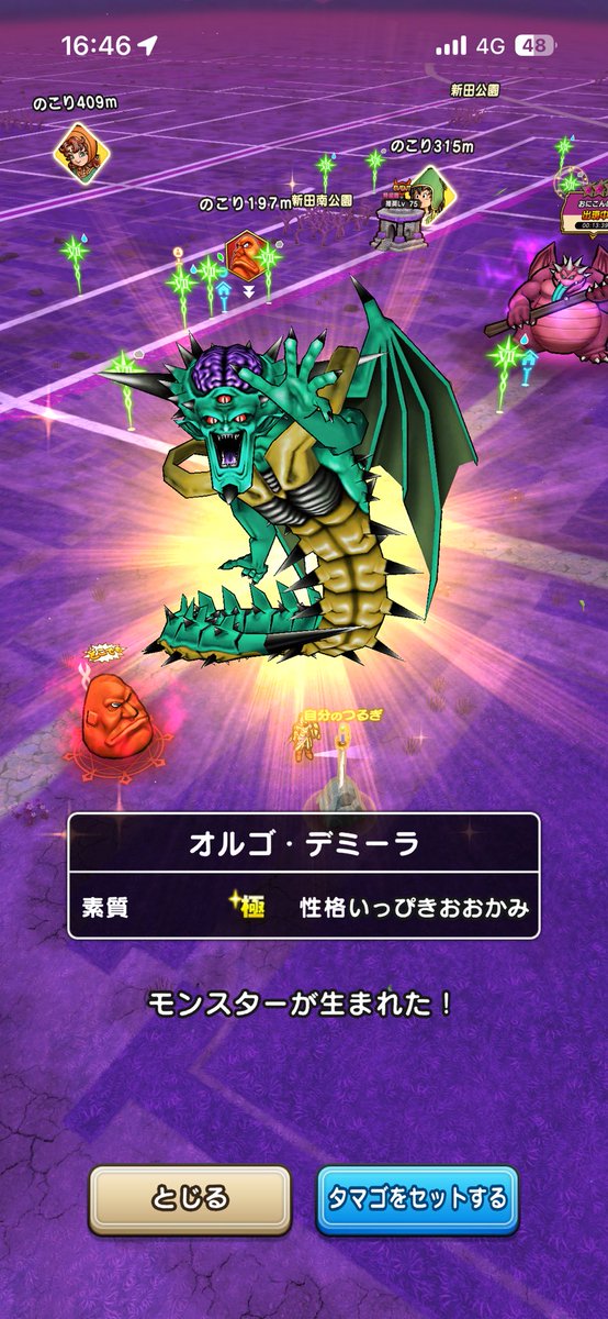 お家のりゅう🎩 tweet media