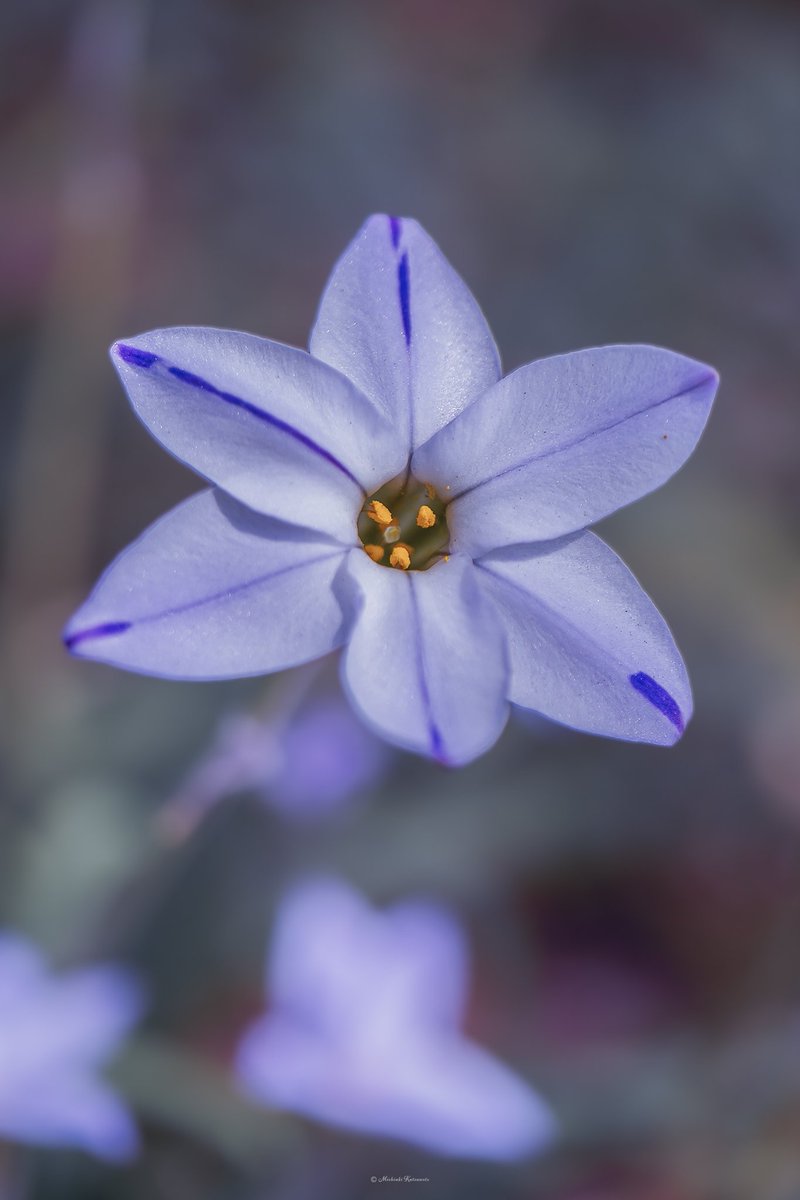 Akasha_Lounge tweet media