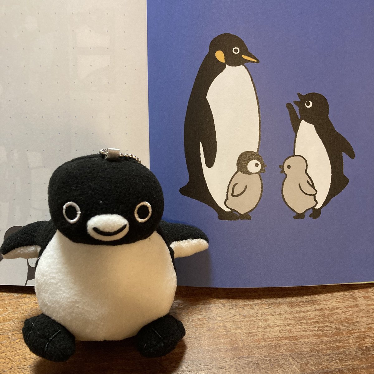 ぺん子 tweet media