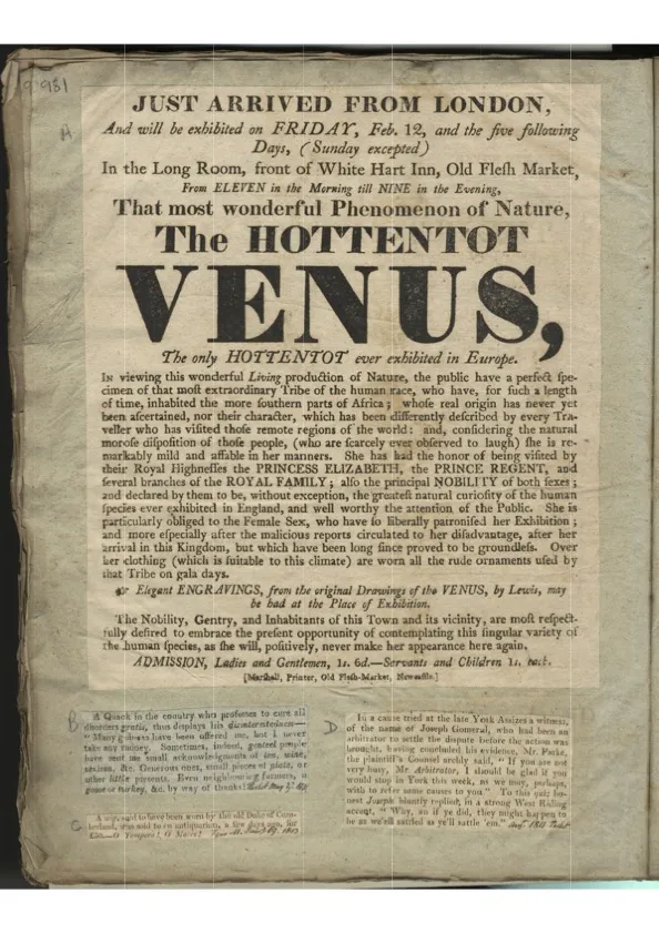 Morphofem 3D tweet media