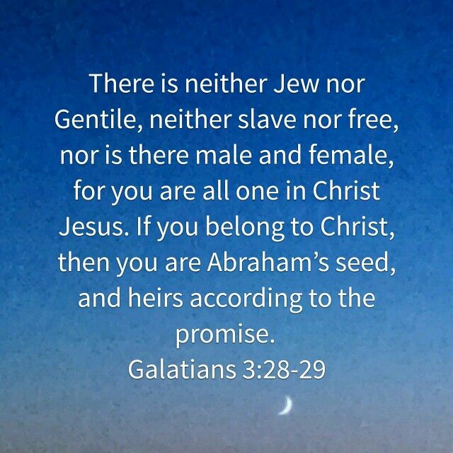 the magic bullit tweet media