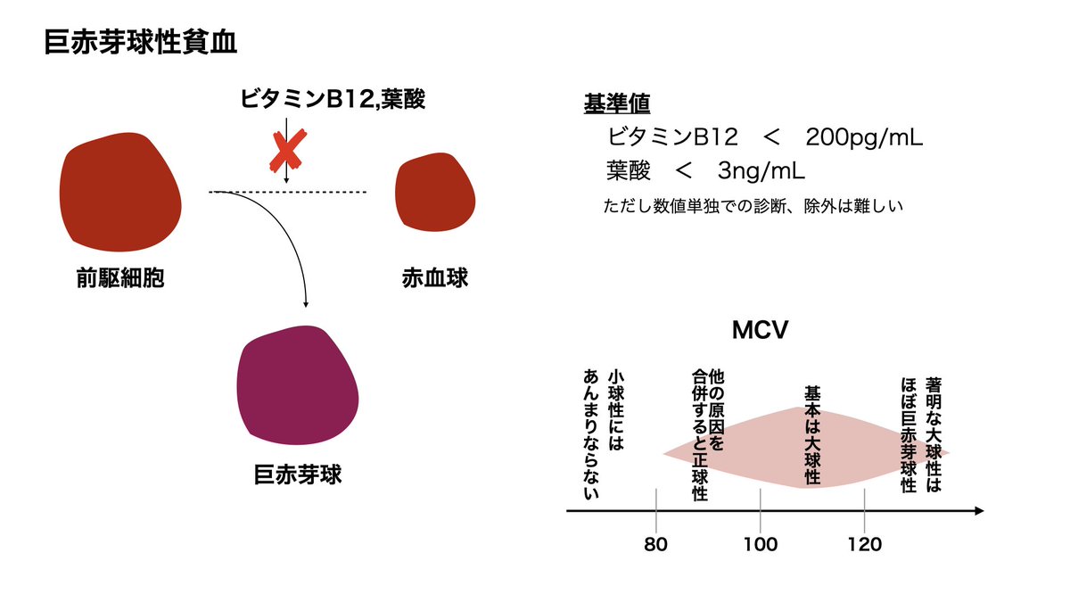 おにだるま｜研修医の教科書 tweet media