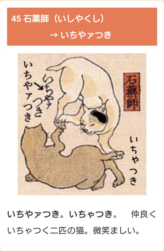 夜來香 yè lái xiāng tweet media