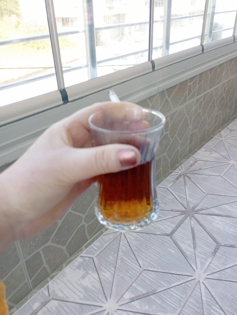 𝙎𝙀𝙃𝙀𝙍🪻 tweet media