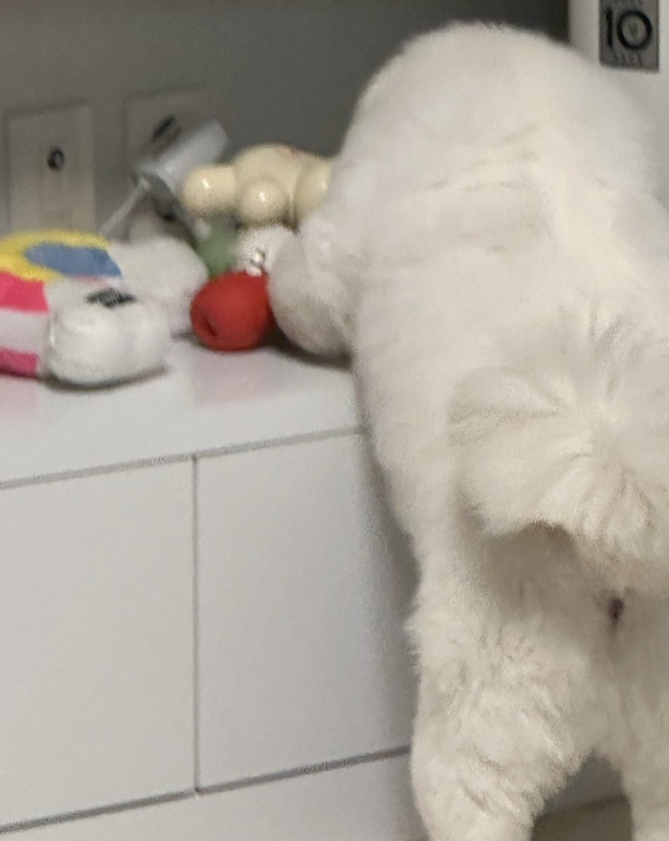 김수수 tweet media