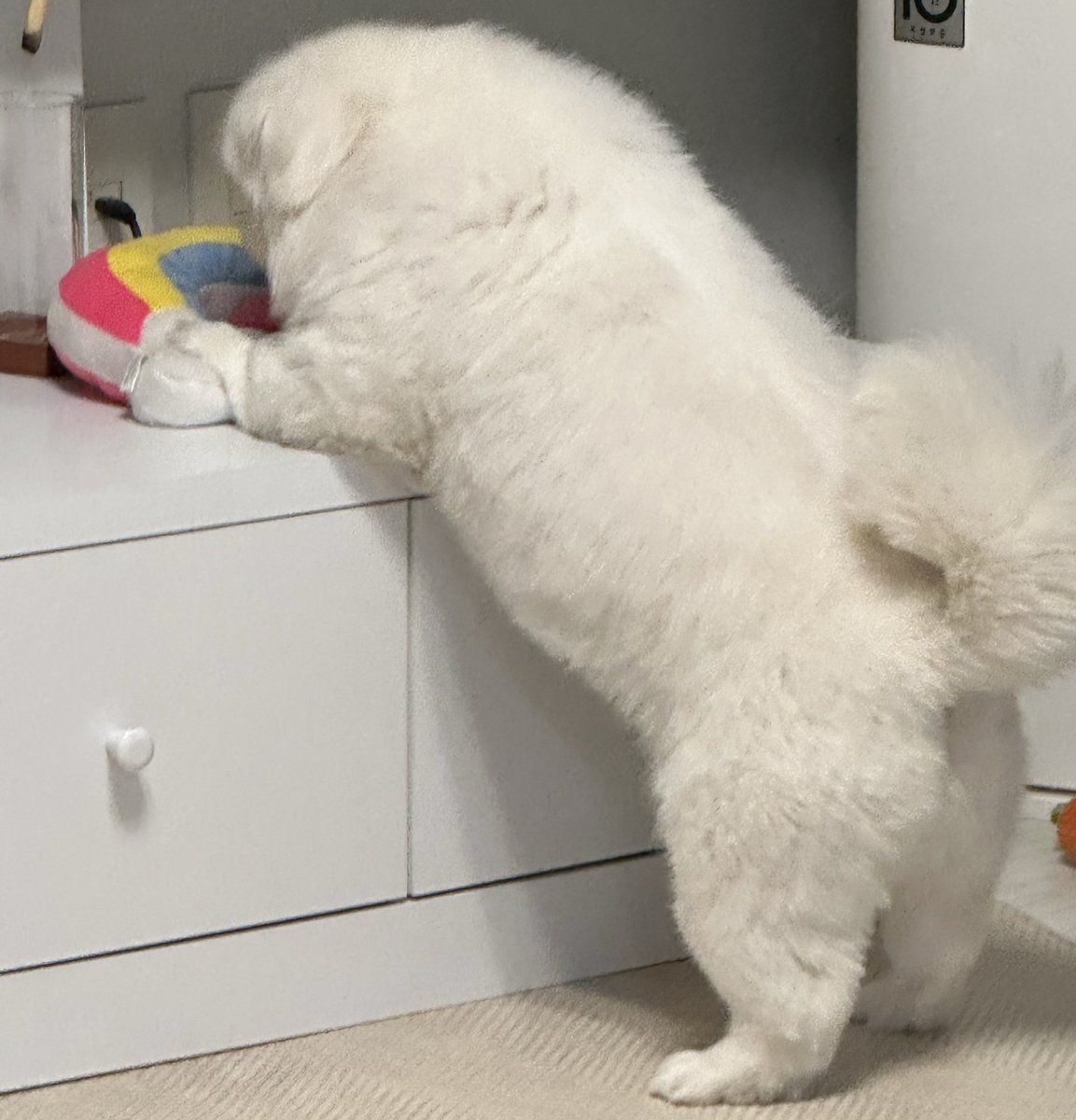 김수수 tweet media