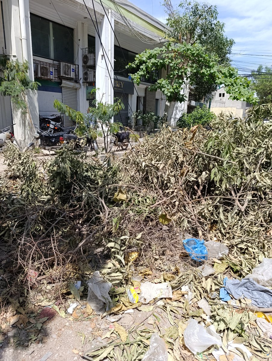 saadankalia's tweet photo. @KmcPakistan These trees went down after March 19th wind storm. 12 days have passed still laying there unattended The location is Shahra e  Faisal Service road next to Mehdi Tower/ PSO pump Sindhi Muslim @murtazawahab1 please help to pickup the complain number 1339 not working. https://t.co/GBf5lfAkuv