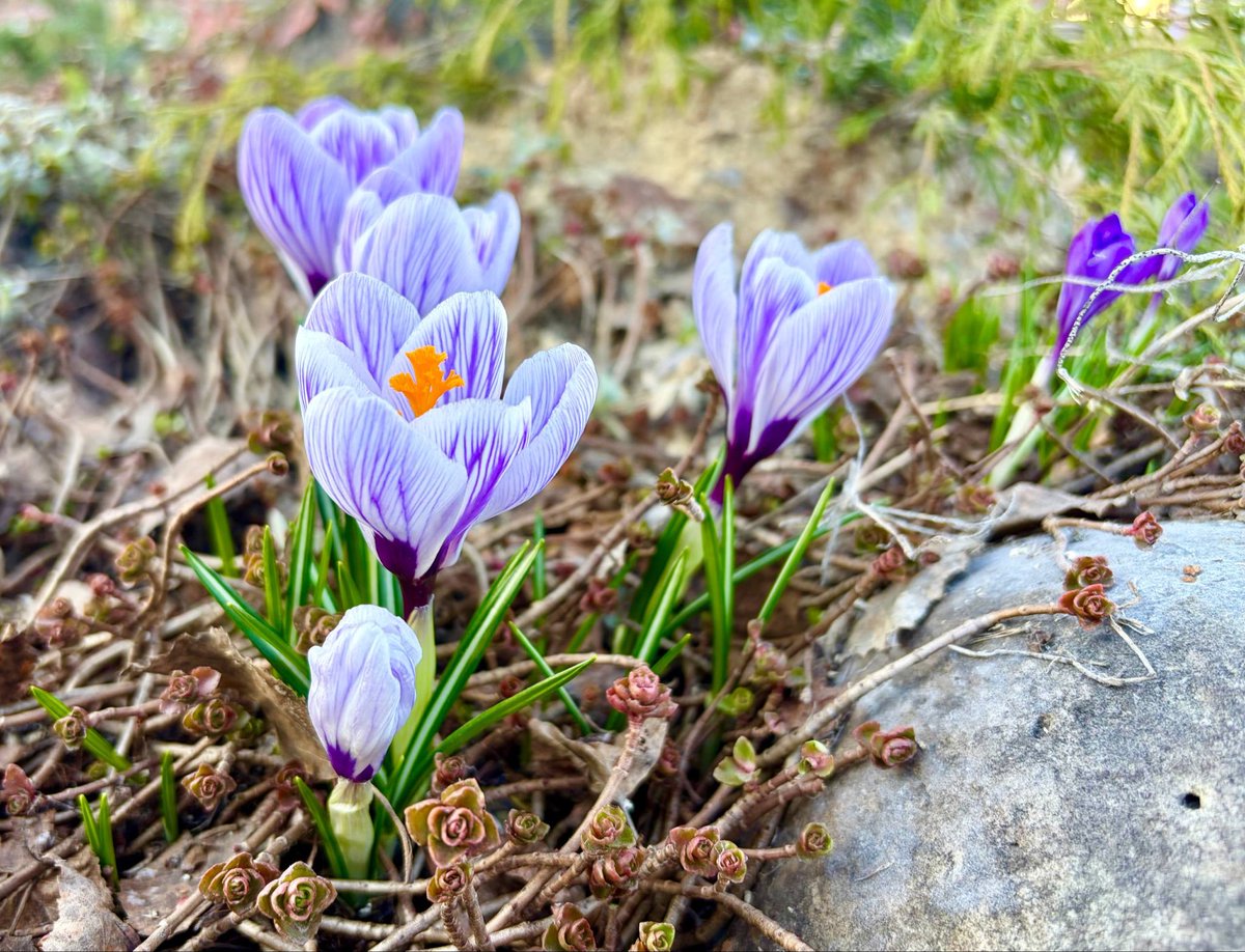 Протоиерей Андрей Ткачёв tweet media