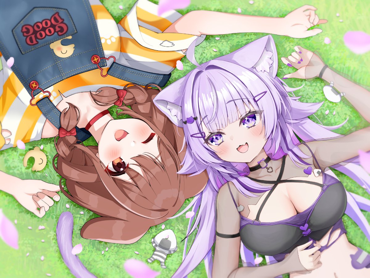 とらきち tweet media