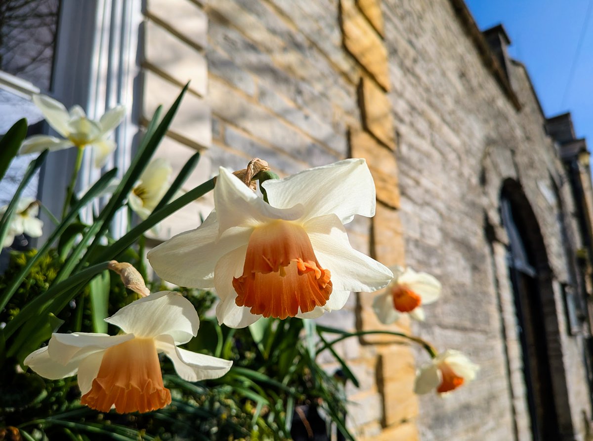 glynn_adams's tweet image. Mild this morning &amp;amp; feeling a little humid too. Quite cloudy at the moment here in #somerset but sunny spells developing through the day⛅ max temp 16c . 
Photo from yesterday.