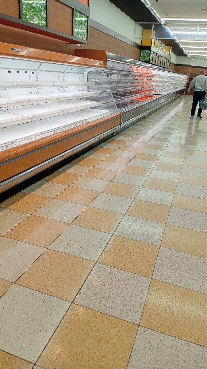 赤い彗星 tweet media