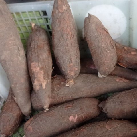 ─ henz dé shioo 🦅 tweet media