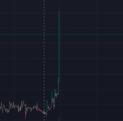 Macariotic tweet media