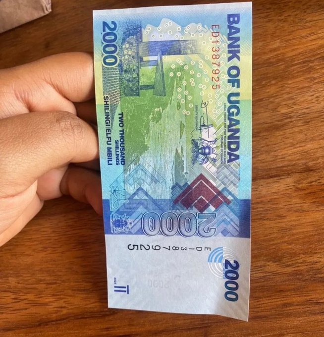 Macosians! tweet media