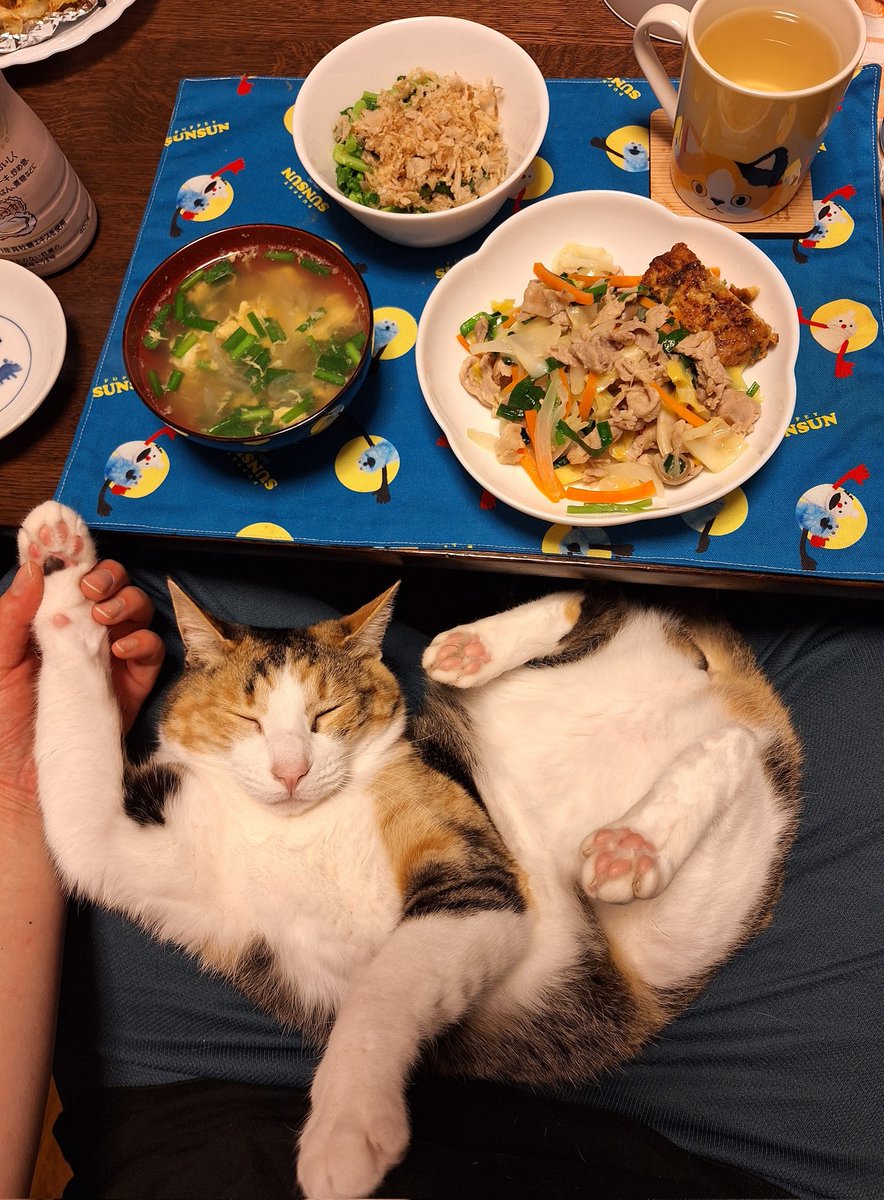 にこちゃまちゃんぬる tweet media