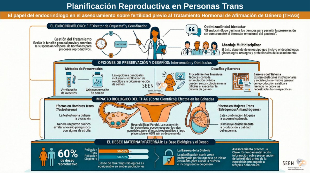 Sociedad SEEN tweet media