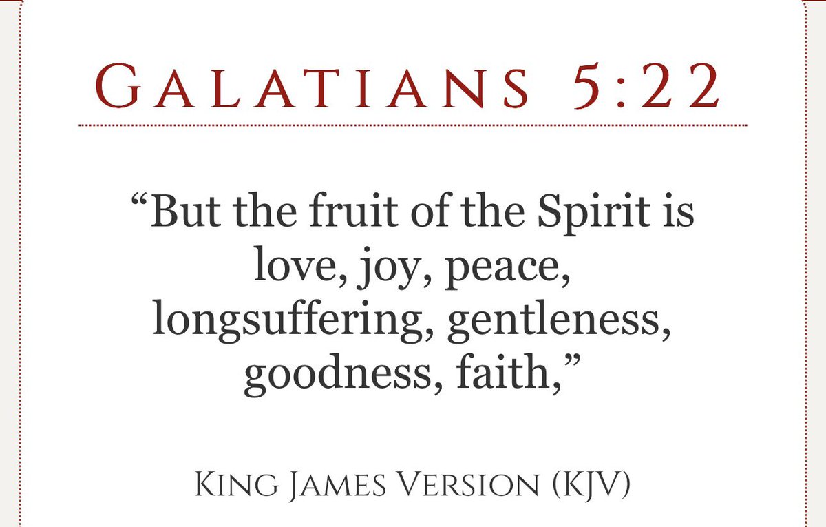 Tim boyle tweet media